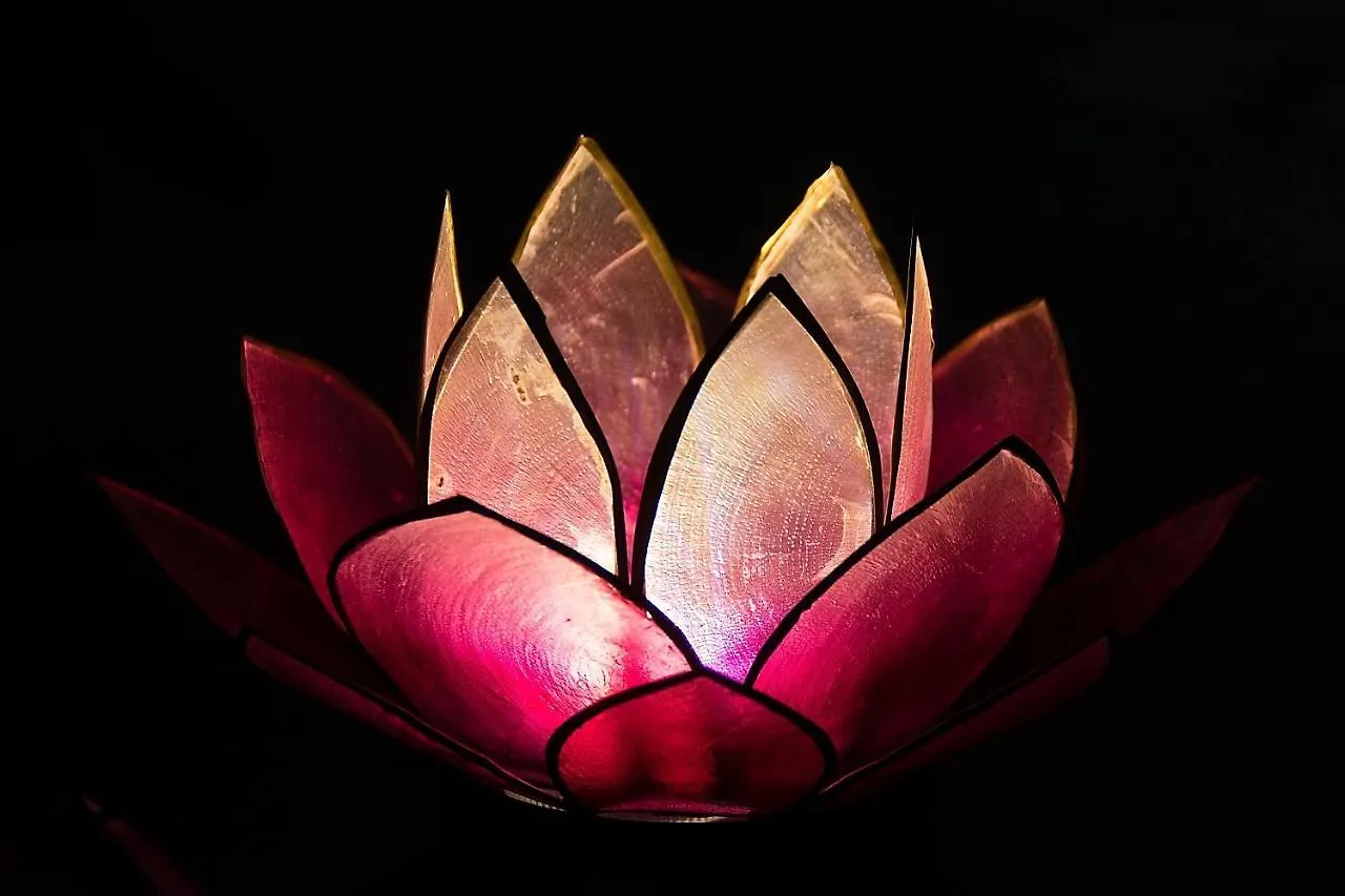 Pink Lotus Apartment Wiedeń